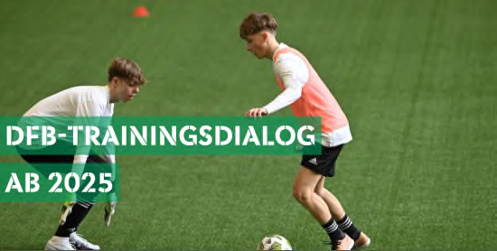 DFB_-_Trainingsdialog.jpeg
